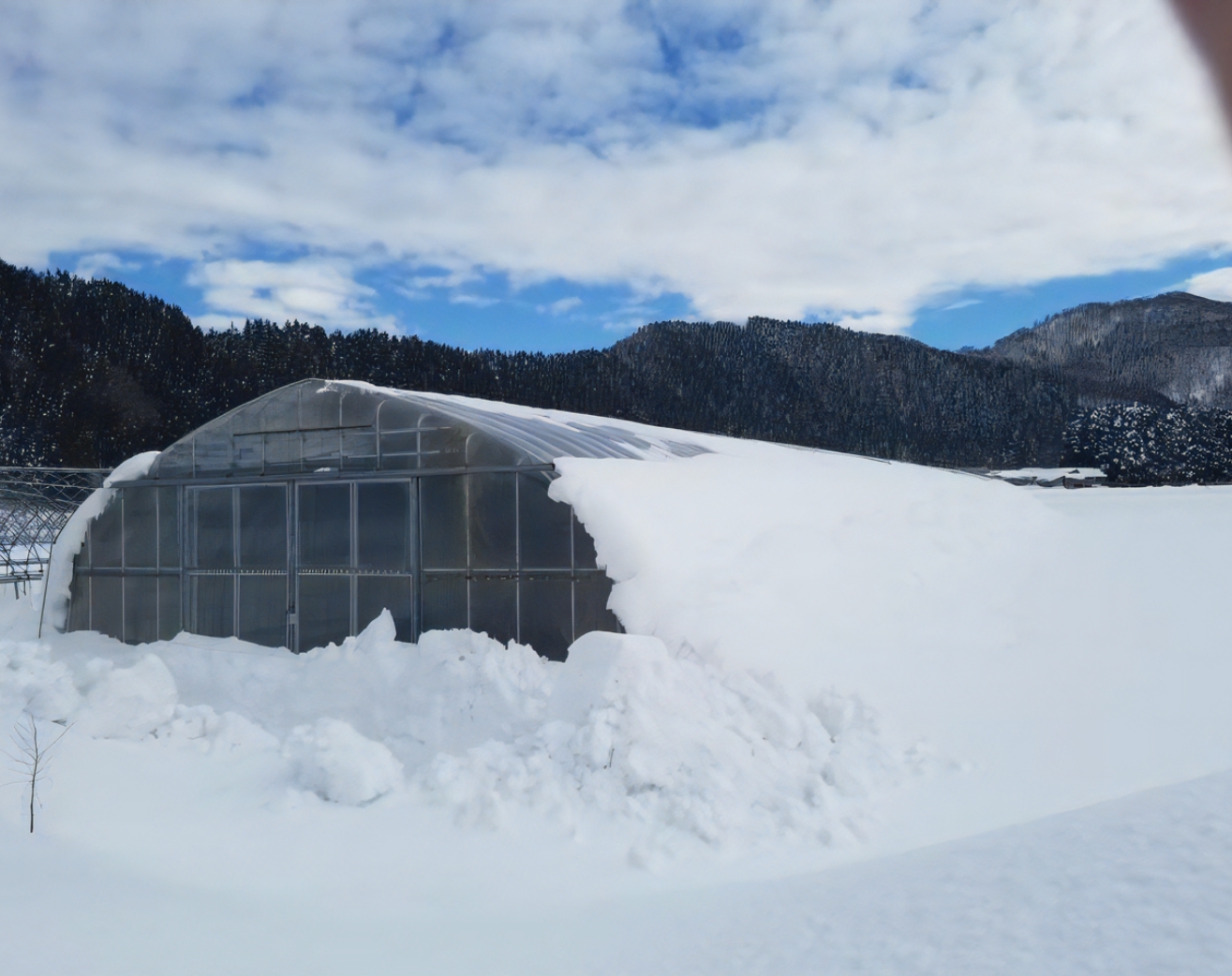 パイプハウス、ビニールハウスの大雪対策や耐雪について